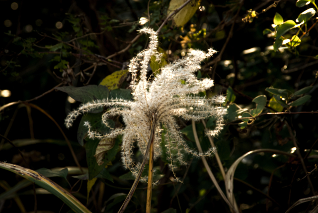 低山の登山道から眺めた景色