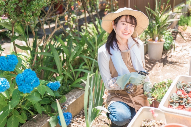 家庭菜園で育てた野菜を使った料理に挑戦！